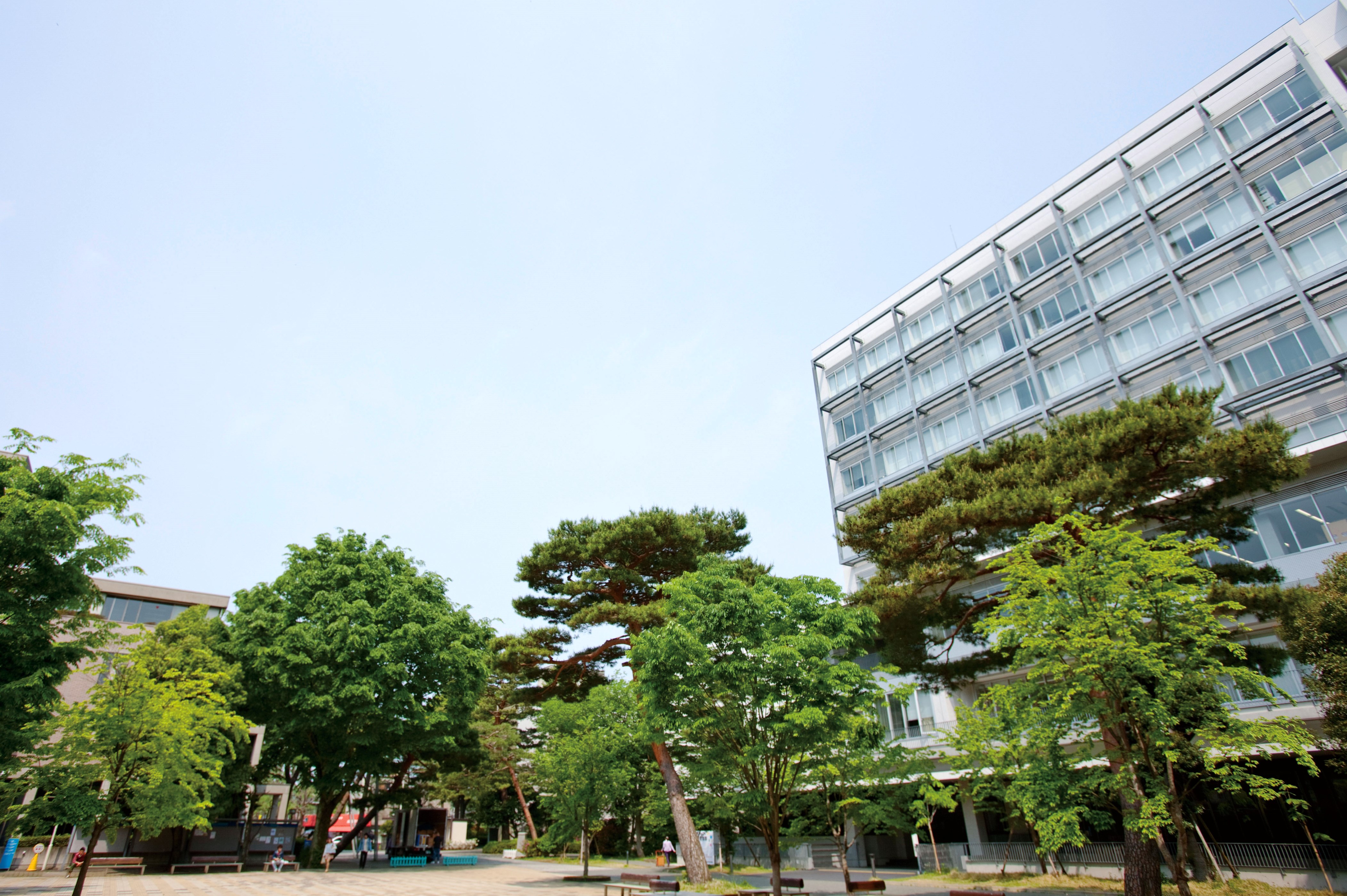 成城大学キャンパス